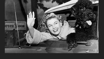 Legendary Performer Doris Day Isn’t Just a Hollywood Star, She is an Animal Activist