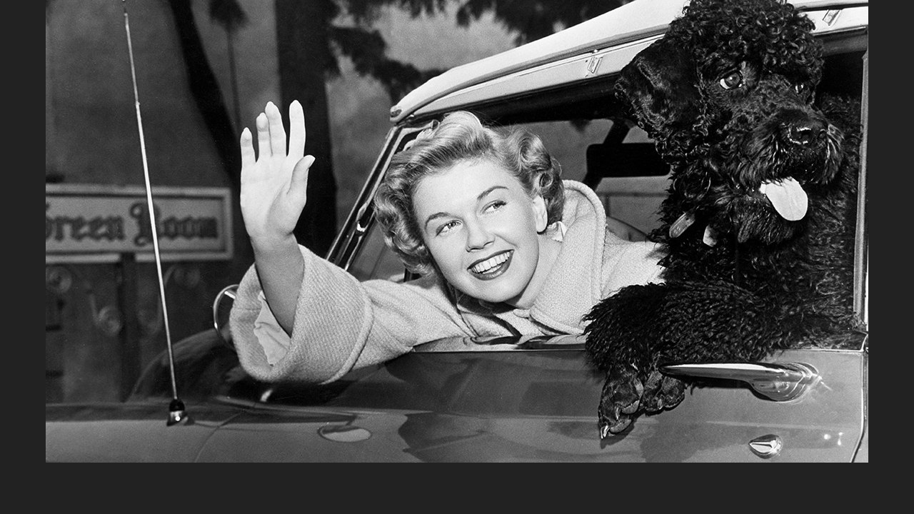 Legendary Performer Doris Day Isn’t Just a Hollywood Star, She is an Animal Activist