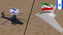Iranian drone destroyed by Israeli Defence Forces