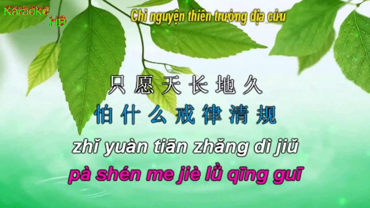 Học Tiếng Trung Qua Bài Hát Tình Nhi Nữ 女儿情