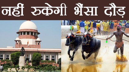 Supreme Court ने Karnataka में होने वाली Kambala Race पर रोक लगाने से किया इंकार । वनइंडिया हिंदी