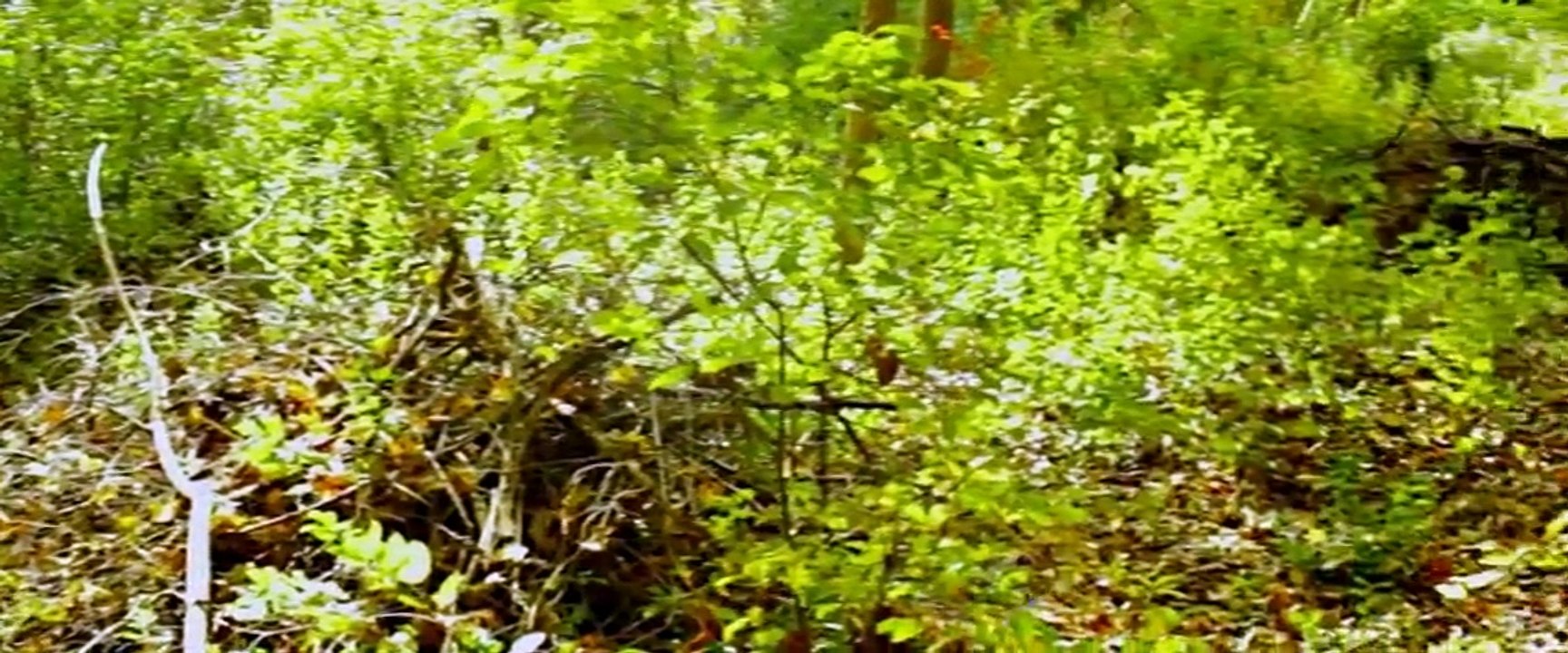 The Unething 2015       Pt 02