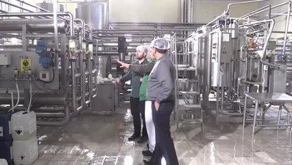 Konya'dan 20 Ülkeye "Peynir Tozu" İhraç Ediyorlar