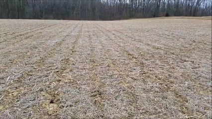 arrowhead hunting 2-21-2017