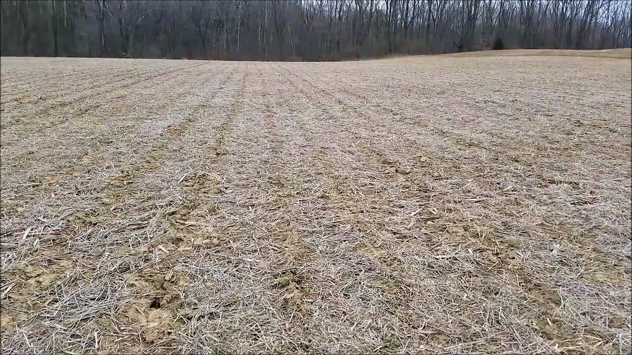arrowhead hunting 2-21-2017