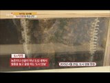 [Live Tonight] 생방송 오늘저녁 114회 - Do you know the 'City Beekeepers'? ‘도시 양봉’을 아시나요? 20150429