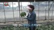 [Powermagazine] Misconception and truth about watermelons! 수박의 오해와 진실! 20150522