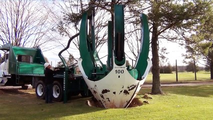 Ever Wish You Could Move Tree Instead of Having to Cut It Down?