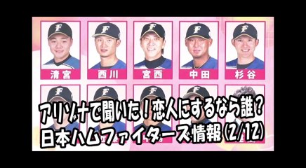 日本ハム アリゾナ・スコッツデールで聞いた！恋人にするなら誰？ 2018.2.12 日本ハムファイターズ情報 プロ野球