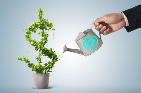 Mails Store - Email Lists- Mailing Lists- Email Database - B2B Database - Mailing Addresses