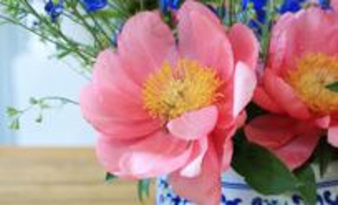 Summer Flowers 101 with L'Atelier Rouge