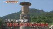 [Live Tonight] 생방송 오늘저녁 143회 - mystery of Chungcheong statue of the Buddha 충청도 불상 미스터리 20150612