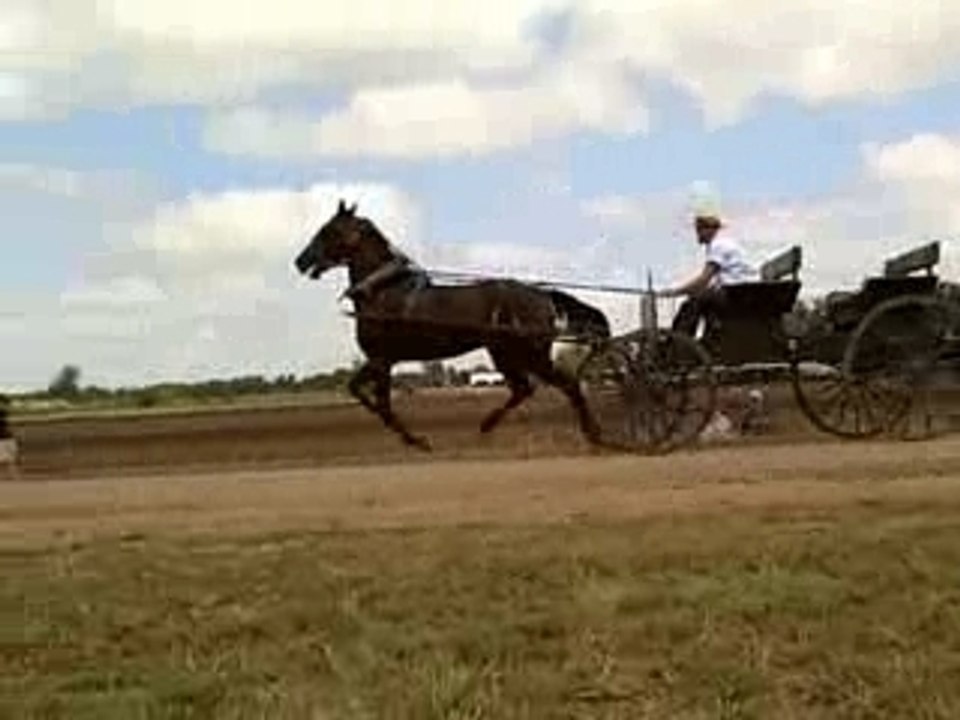 Amish Buggy Races Presented by BuggyRocket.com