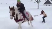 Skirting skills with horse