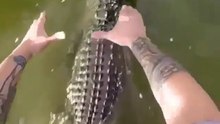 Very Dangerous - would you try this crazy ?