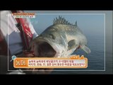 [Live Tonight] 생방송 오늘저녁 139회 - Yeosu bass 여수 바다의 진미, 농어! 20150605