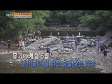 [Live Tonight] 생방송 오늘저녁 153회 - Healing Forest 숲에서 노닐다, 힐링의 숲 20150626