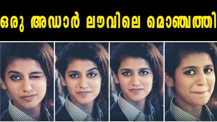 ഒരു അഡാർ ലൗവിലെ മൊഞ്ചത്തി | filmibeat Malayalam