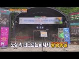 [Live Tonight] 생방송 오늘저녁 172회 - Gwangmyeong cave 도심 한 가운데서 즐기는 이색 피서! 광명동굴 20150723