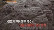 [Live Tonight] 생방송 오늘저녁 162회 - Busan Suyeong-gu, cereals noodles 부산 수영구, 대한민국 유일무이 잡곡 국수 20150709