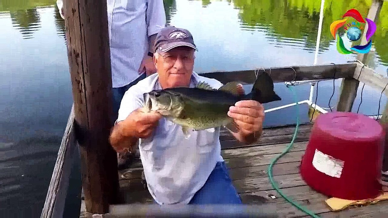 Moments you Wouldn't believe if Camera Weren't Recorded