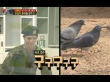 【TVPP】Sungjae(BTOB) - Poker Face Dance   Pigeon, 성재(비투비) - 정색 댄스   비둘기 @ A Real Man