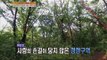 [Live Tonight] 생방송 오늘저녁 167회 - Seoul healing forest 30년 만의 대 공개, 서울 치유의 숲 20150716