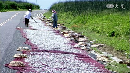 菊島醫師情 - 第1集   Doctor from the Neighborhood