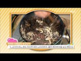 [Happyday] Nutritional Stir-fried Glass Noodles and Vegetables 탱글탱글 '영양 잡채' [기분 좋은 날] 20150807