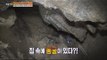 [Live Tonight] 생방송 오늘저녁 186회 - Subterranean cave in haunted house 20150812