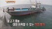 [Live Tonight] 생방송 오늘저녁 181회 - Yeosu fishing for Japanese Spanish mackerel 여수 삼치 잡이 20150805