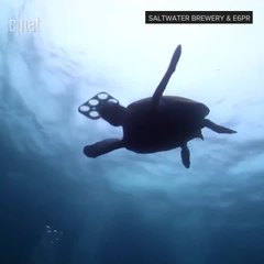 Eco-friendly six pack rings can save turtles and fish