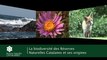 La biodiversité dans les Réserves Naturelles Catalanes