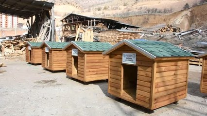 Sokak Hayvanlarına Konforlu Kulübe Hizmeti
