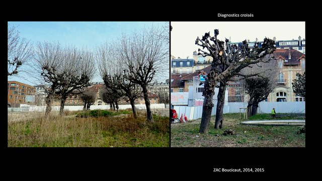 Innover pour conserver: Méthodes de diagnostic et décision de gestion des arbres dans les sites patrimoniaux