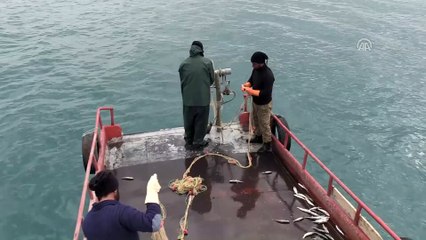 Van Gölü'nün eşsiz güzelliğini fotoğrafladılar - BİTLİS