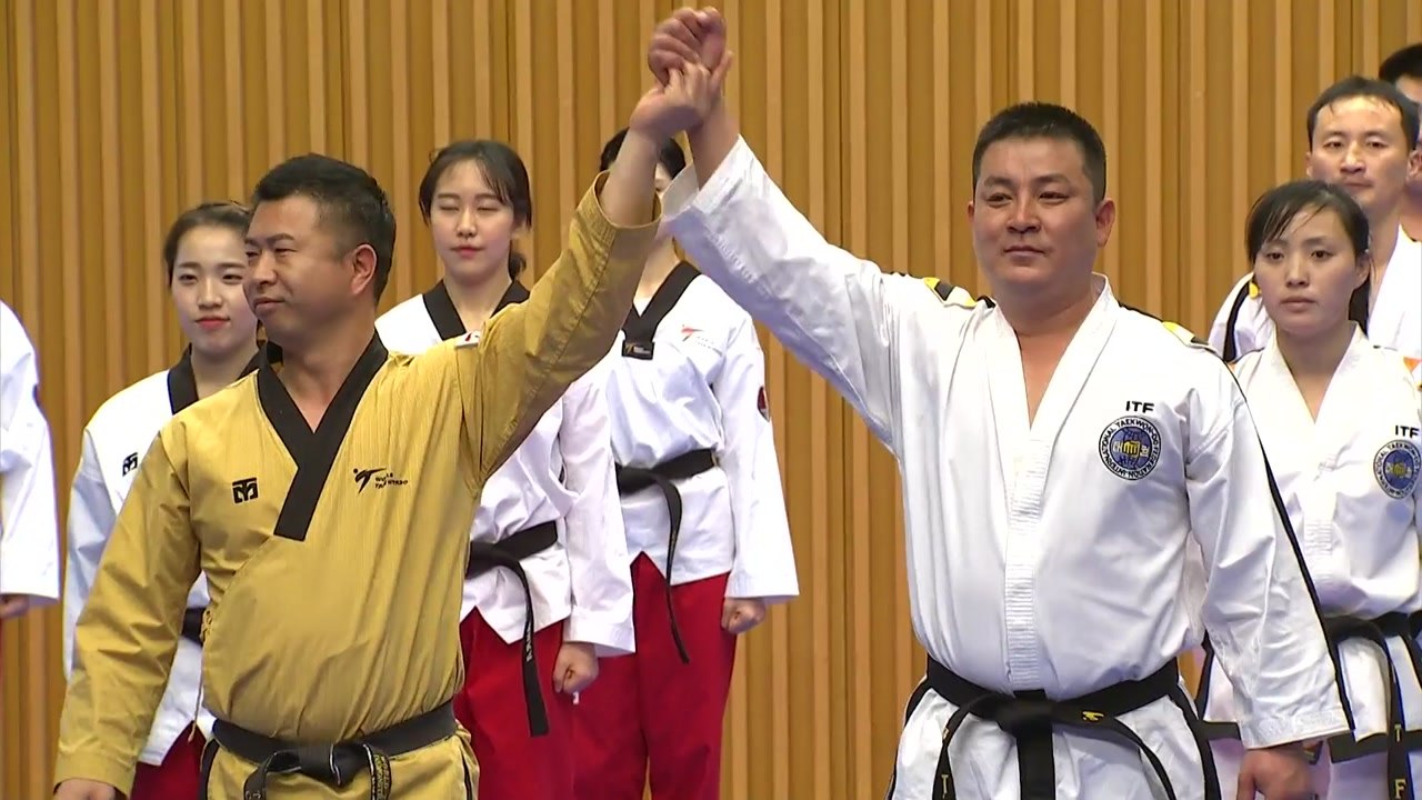 '태권도로 하나된 남북'...서울서 시범단 합동공연 / YTN