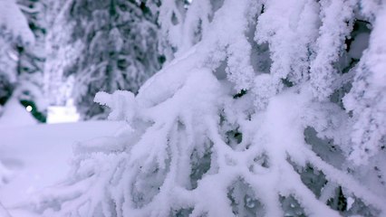 [BA] Echappées belles : Jura Suisse - 17/02