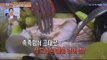 [Live Tonight] 생방송 오늘저녁 192회 - seafood steamed salmon 피부미용과 다이어트에 효과 만점! '해물 연어찜' 20150820