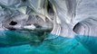 Chile's Marble Caves Might Be The Most Beautiful Natural Wonder