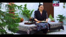 Mein Mehru Hoon Ep 48 - on ARY Zindagi in High Quality 12th February 2018