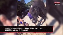 Une star du fitness sexy se prend une fessée par un éléphant (vidéo)