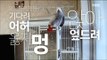[Haha Land 2] 하하랜드2 - Parrot who follows the owner's words equally!20180131
