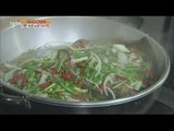 [Live Tonight] 생방송 오늘저녁 201회 - Fantastic special taste, steamed ray 숙성 노랑가오리찜 20150902