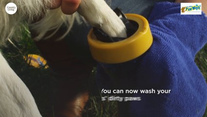 You'll Never Have To Worry About Muddy Dog Paws Again With This Product