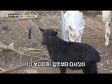 [Haha Land] 하하랜드 - I can not breast feed my mother.20180103