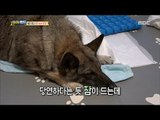 [Haha Land] 하하랜드 -dHelping up to the feces Hyunju! 20171122