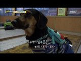 [Haha Land] 하하랜드 -In the hands and feet of the master puppy! 20171122