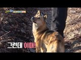 [Haha Land] 하하랜드 -farm guard dog 20171206
