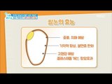 [Happyday]rice Have no nutritional value?! 쌀이 영양가가 없다?! [기분 좋은 날] 20171208